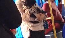 长沙张女士最新爆料,揭秘某事件背后惊人真相